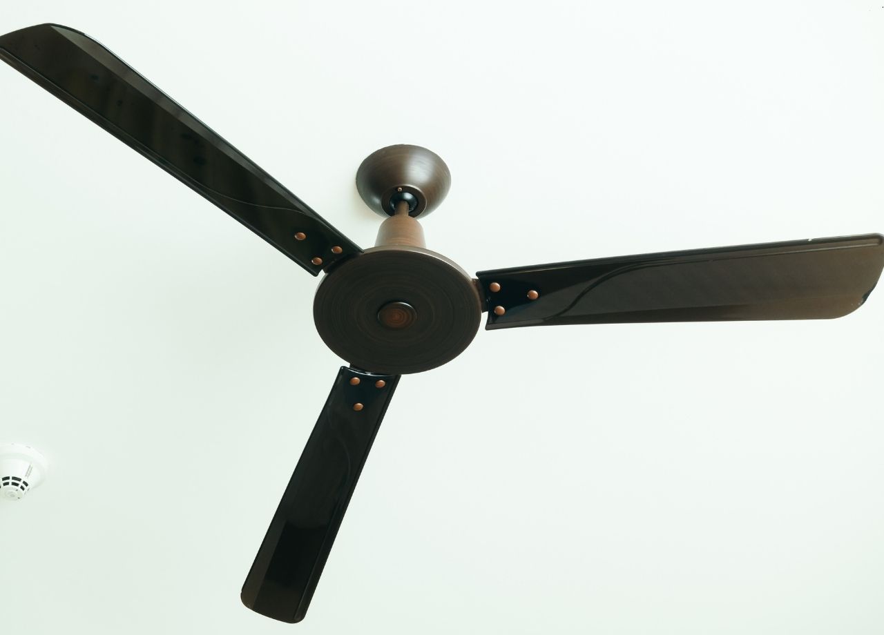 Large Ceiling Fans